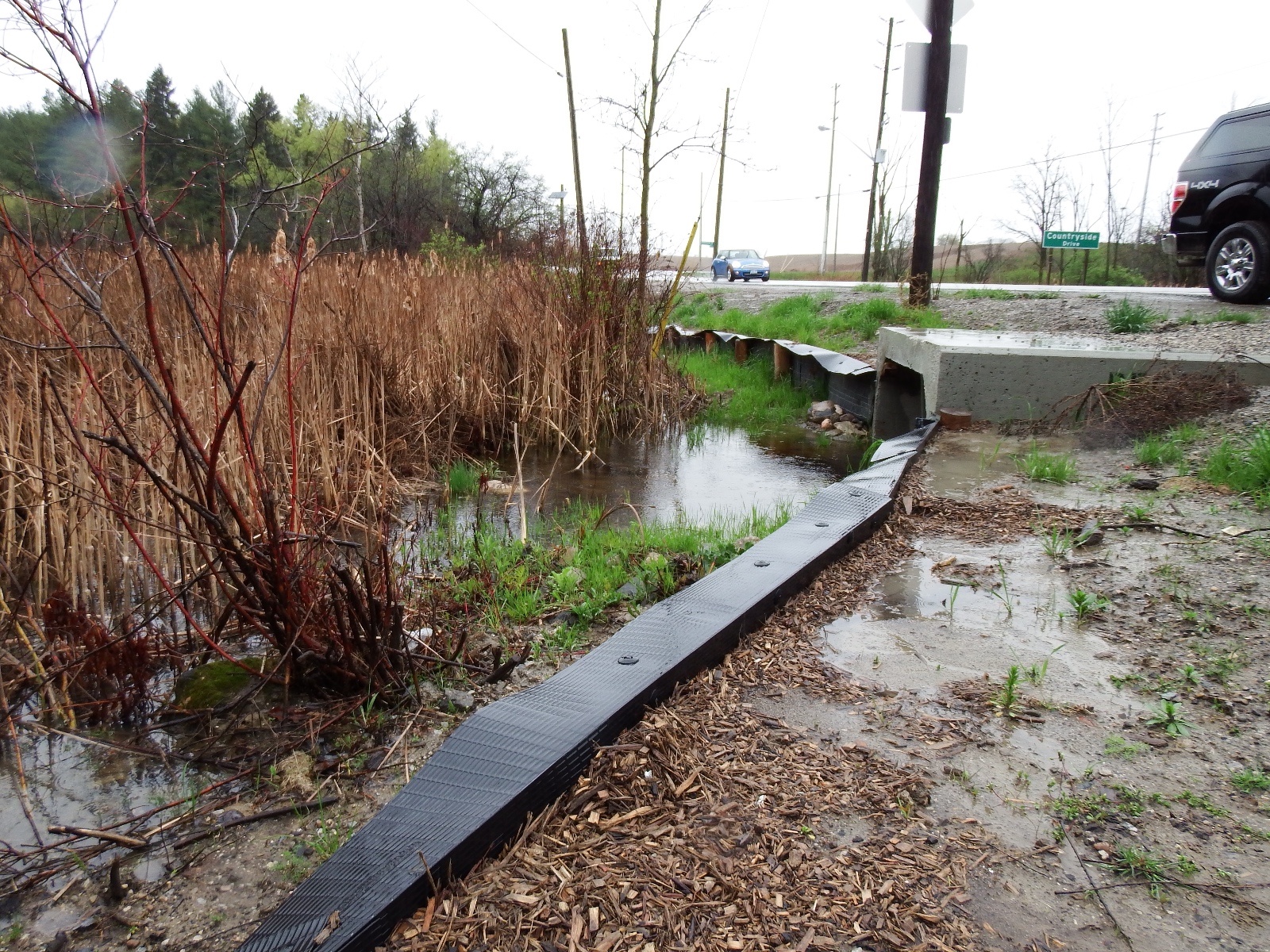 HrtLkRdWildliePsgWestSideMay7 17 (2)